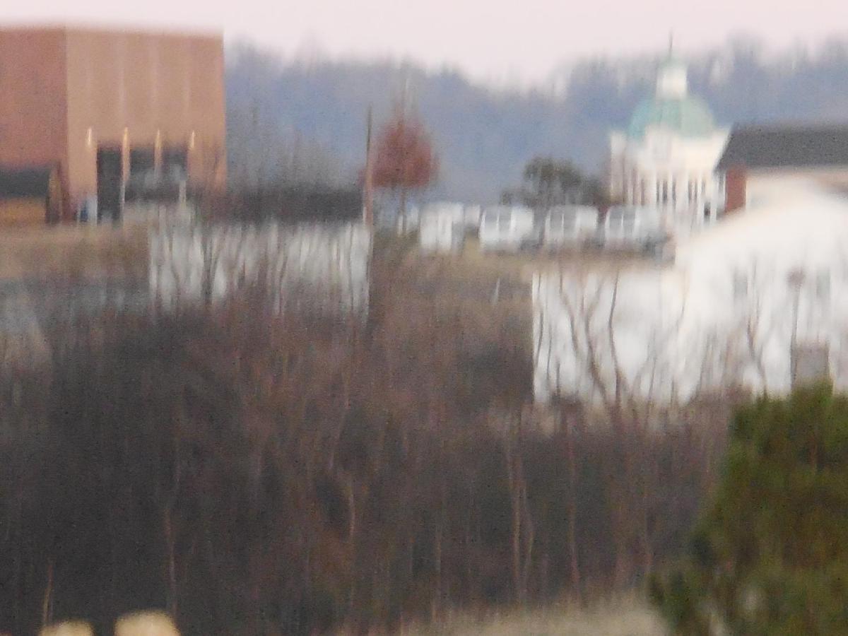 Giles Hotel Inn And Suites Pulaski Luaran gambar